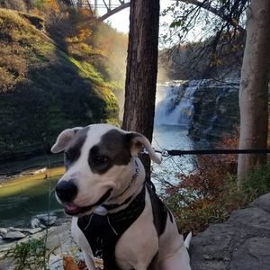 Meet your Posher, Stacy